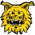 Ilves