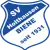 Holthausen-Biene