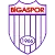 Bigaspor