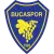 Bucaspor 1928