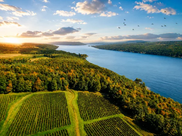 Finger Lakes Property Investments and Tourism Betting Trends