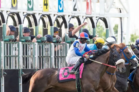 Exotic Bets Explained: How to Use Exactas, Trifectas, and Pick 6s to Maximize Your Horse Racing Returns